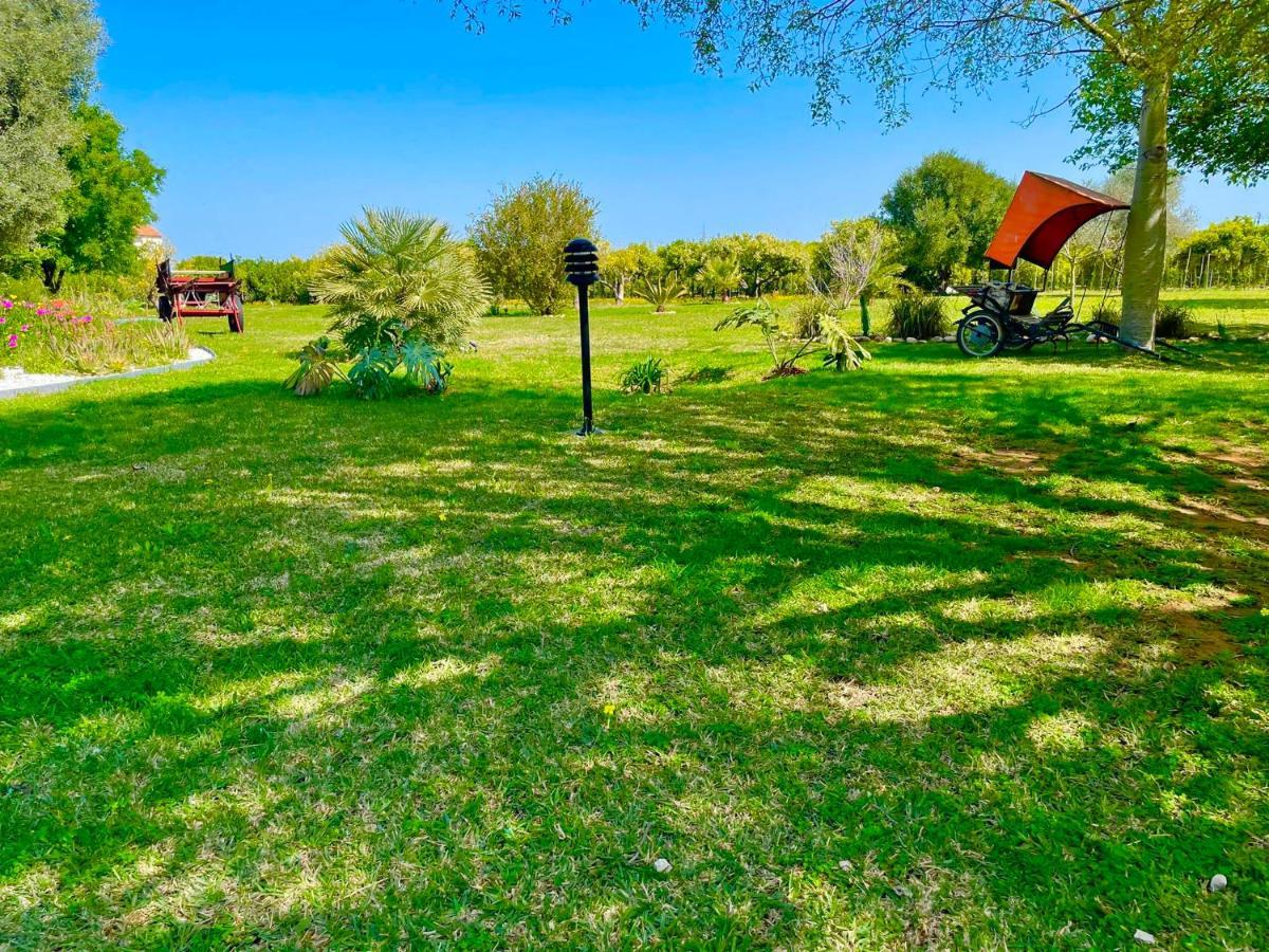 Casa Pepa Con Encanto Ondara Eksteriør billede